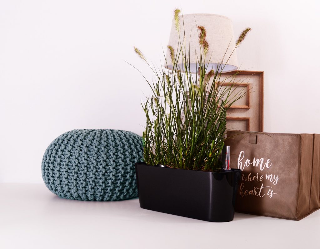 indoor plants